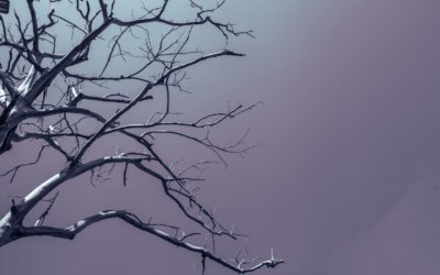 Rêver de la mort : signification psychologique et interprétation